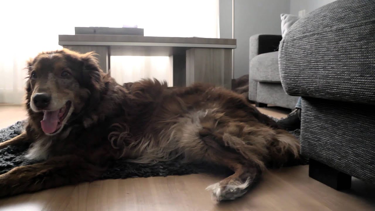 Meandergroep WeHelpen.nl informatieve video