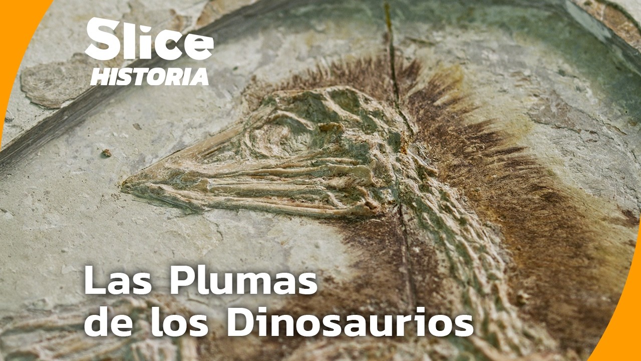 Dragones Emplumados: Cuando los Dinosaurios se Convirtieron en Aves | SLICE HISTORIA | DOC COMPLETO