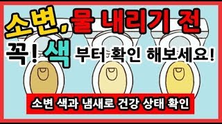 소변 급할때! 소변검사 소변색깔 소변거품  소변냄새 부터 건강 확인하세요!