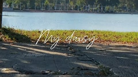 Cover MV My daisy - RISA NARISA