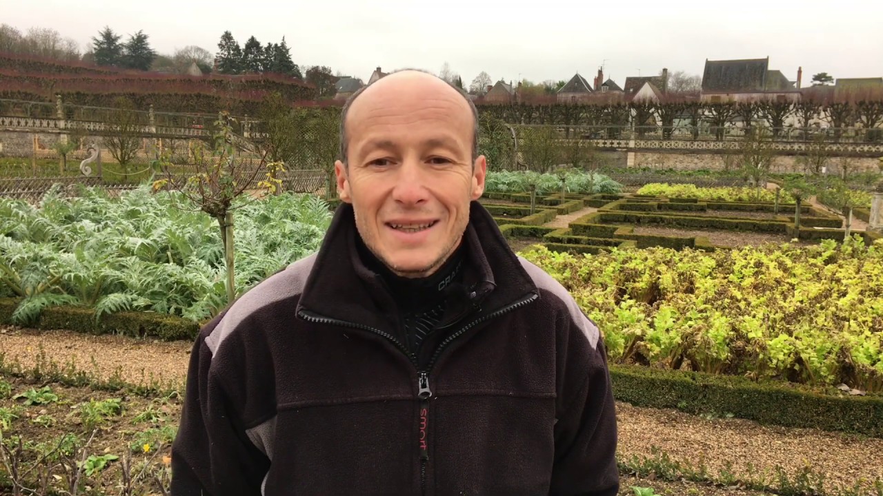 Jardiner sans produits chimiques : les bons conseils de Laurent Portuguez france télévisions sport