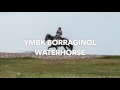 Ymbk Borrginol - Waterhorse [Free Download | Ambient Tech House]