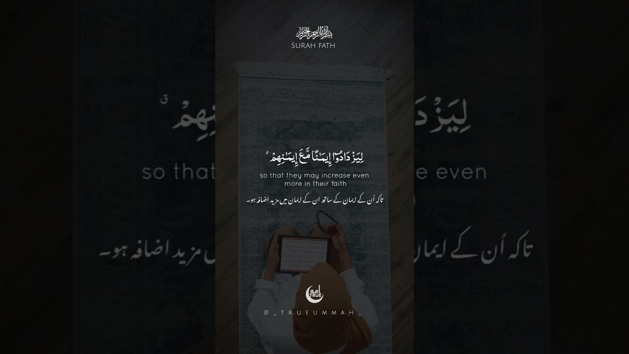 calm quran recitation 🏵️