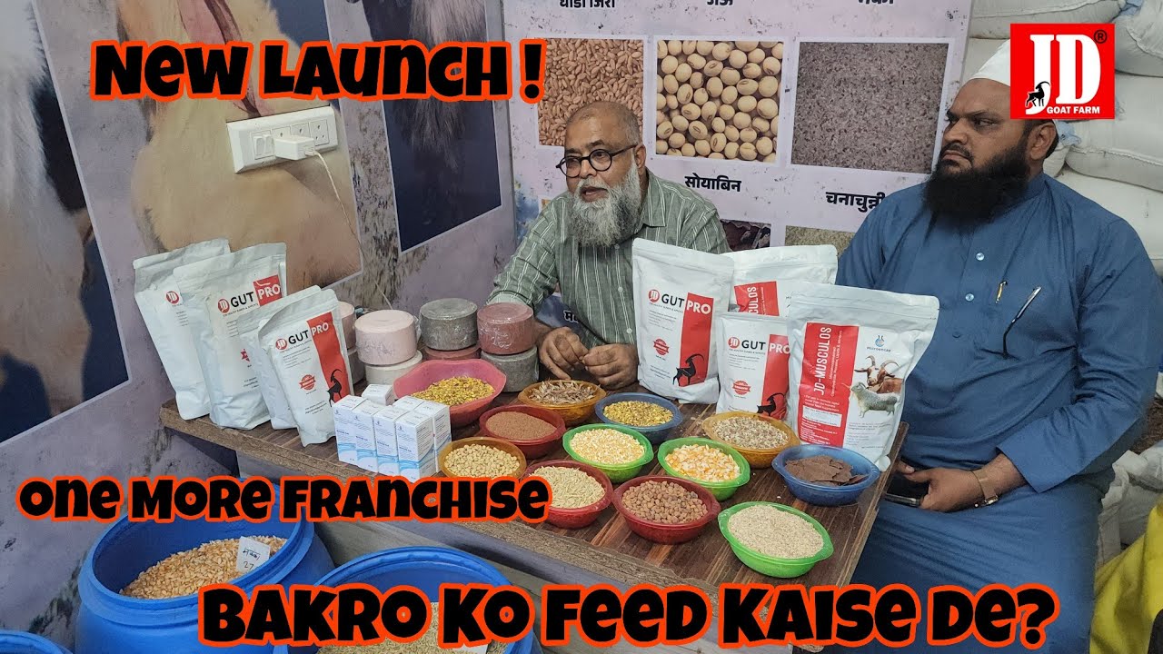New Franchise of JD Goat Feed | Ahmed Nagar | JD Goat Farm
