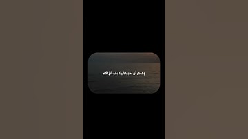 Ali jaber #quran #اكسبلور #قران_كريم #قرآن #علي_جابر #تلاوة_خاشعة