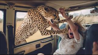 Animal Encounters So BRUTAL The Internet Couldn't Handle It