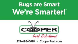 Bed Bug Service Bucks County PA
