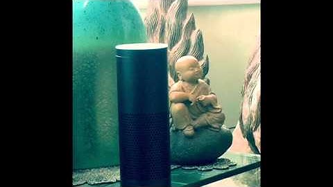 Amazon Alexa artificial intelligence test