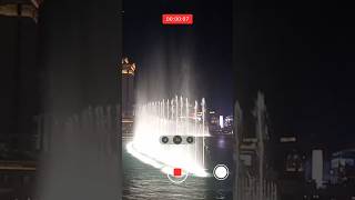 Vertical camera recording overlay demo