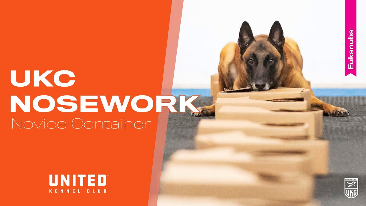 UKC Nosework: Novice Class: Container