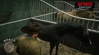 Rdr2 How To Steal A Horse From Saint Denis Stable In Ch. 4 No Bounty Black Arabian In Video