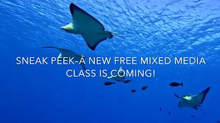 NEW CLASS SNEAK PEEK! @abyssimo