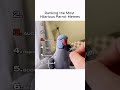 Ranking the Most Hilarious Parrot Memes