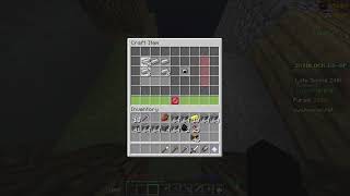 Hypixel SkyBlocks Bug Golem Hat Bug