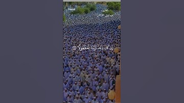 #قران_كريم #ماتيسر من سورة الاسراء #الشيخ_عبدالولي_الاركاني