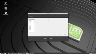 Linux Mint 19 Cinnamon Install (UEFI)