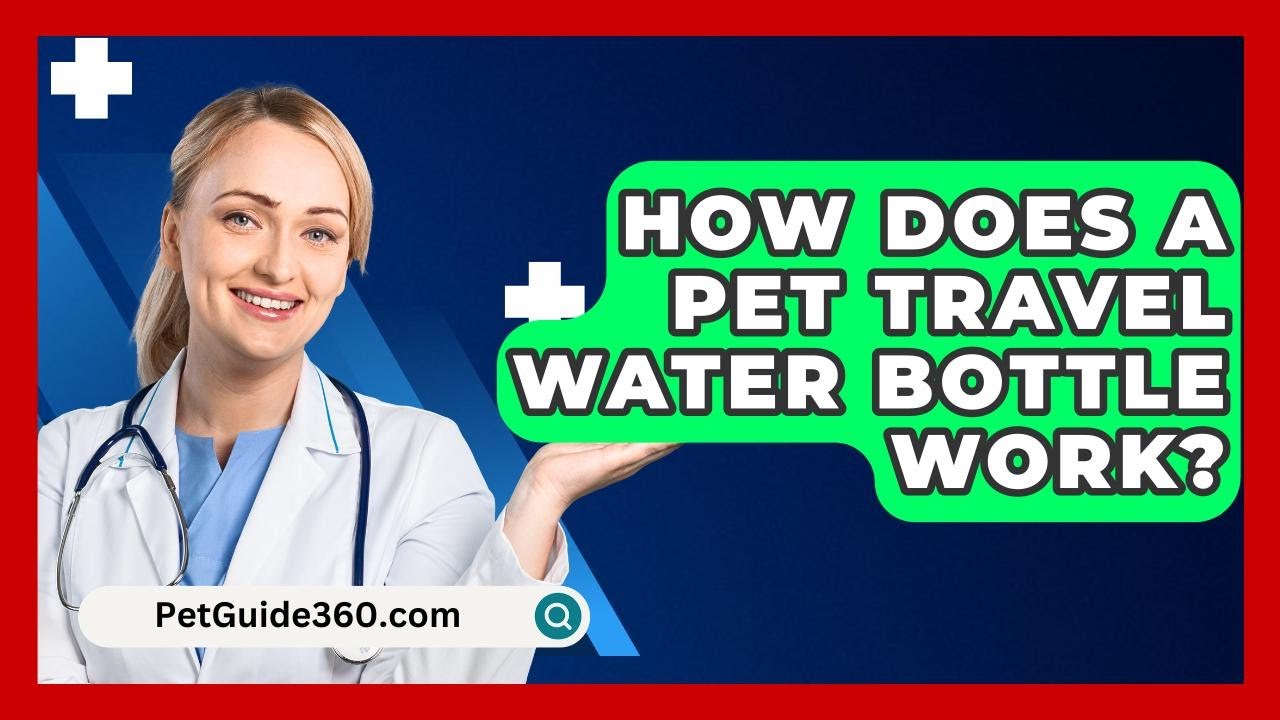 How Does A Pet Travel Water Bottle Work? - PetGuide360.com