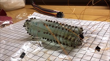 Shape Memory Alloy Driven Whole Skin Locomotion