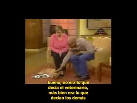 FE LA PERRITA DE 2 PATAS