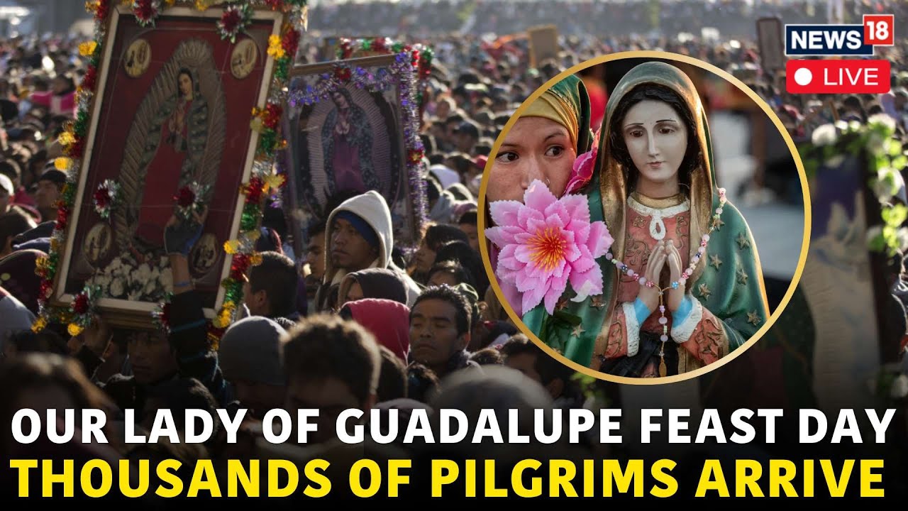 Mexico LIVE | Thousands Of Pilgrims Arrive At Basilica Of Our Lady Of Guadalupe In Mexico | N18G