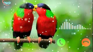 Tone Ringtone 2022, Instrumental Ringtone, Love Ringtone, Bollywood Ringtone, Hindi Ringtone 2022