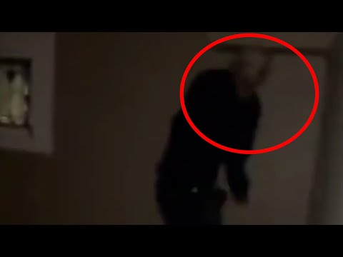 Top TikTok TERROR recopilación de videos Bizarros