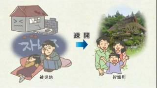 智頭町疎開保険