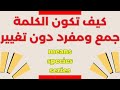 هذه الكلمات تعتبر خارج قواعد الجمع والمفرد المتعارف عليها 