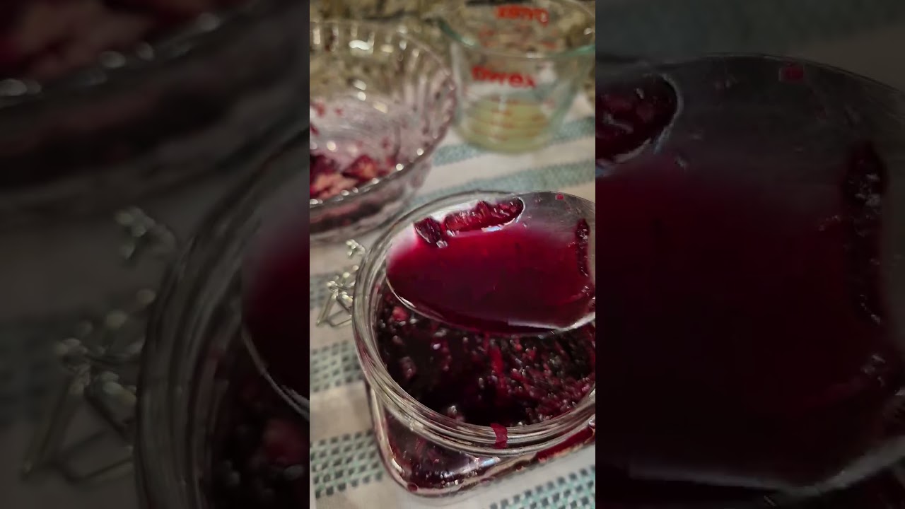 My homemade Beet🫜root elixir/ferment 