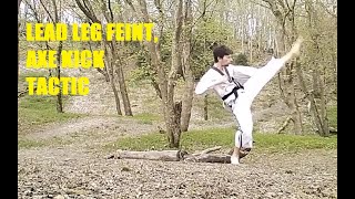Lead Leg Feint, Axe Kick Combo With Sam