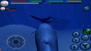 Blue Whale VS Sharks, Orca, Dolphin  Ultimate Ocean Simulator