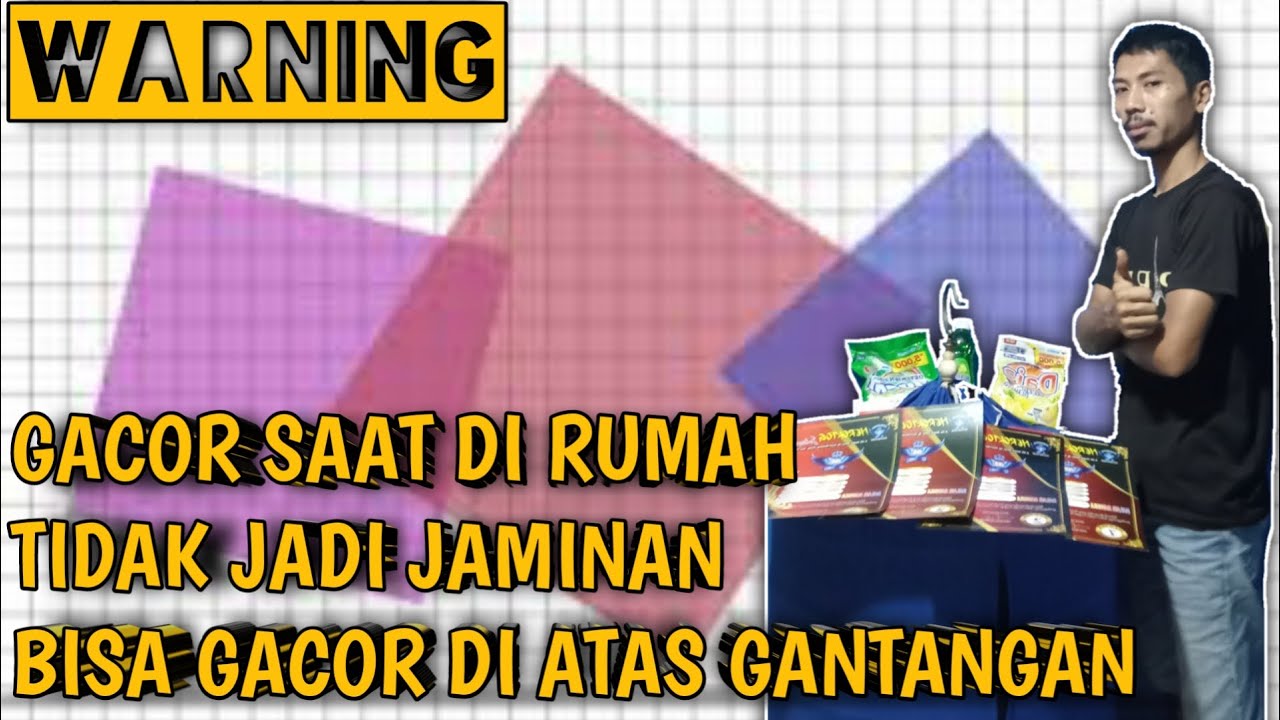 GACOR DI RUMAH GAK JAMINAN GACOR DI GANTANGAN !! BICARA PENGALAMAN