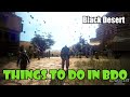 [Black Desert] What to Do After Level 61? Things to do Besides Grind or PvP in BDO