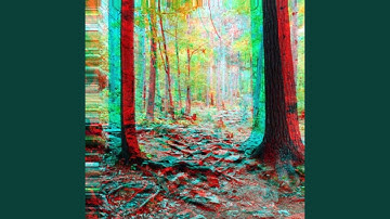 The Path of Knowledge