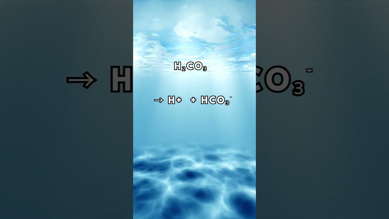 Explaining Ocean Acidification in 30sec!! 