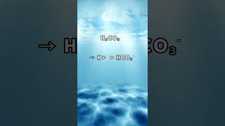 Explaining Ocean Acidification in 30sec!! #shorts #chemistrytutorial #atar #atargirl