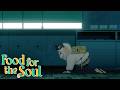Solid Sheep | Food for the Soul