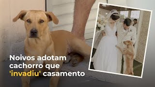 Noivos adotam cachorro que 'invadiu' casamento