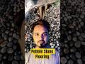Pebble Stone Flooring #flooring #homedesign #trend #interiordesign #construction #shorts