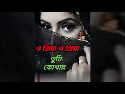 O Priya O Priya Tumi KothayAsif AkbarAbir BiswasLyrics Video and Live Effect