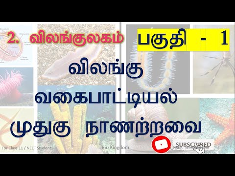 11th Class | Bio Zoology | Lesson 2 | Animal Kingdom | முதுகு நாணற்றவை | Invertebrata | Tamil | NEET