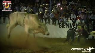 VALLA TORAZO!! ESE SICARIO DE RANCHO EL ARTEZON!! LLANO GRANDE JAL