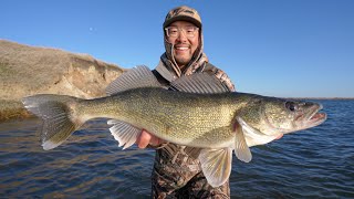 Solo Public Wader Walleye Shore Fishing! (CATCH CLEAN COOK)