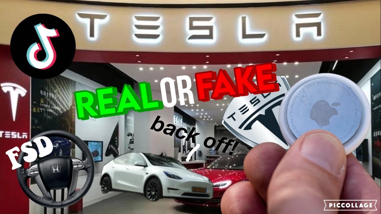 Are Any Of The Tesla TikToks REAL or FAKE? part 2!