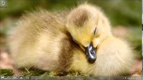 Windows 8.1 Charms Bar