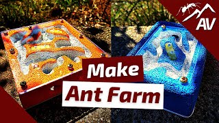 How to Build an Ant Farm | DIY Ytong Ant Nest (Formicarium)