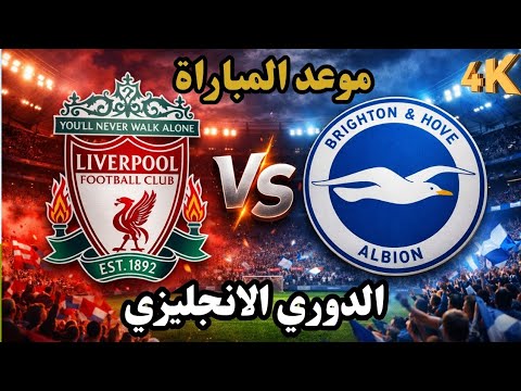 🔴مواجهة قوية في البريميرليج | موعد ليفربول وبرايتون اليوم والتشكيل الرسمي والقنوات الناقلة