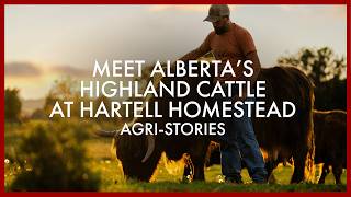 Meet Alberta’s Highland Cattle at Hartell Homestead | Agri-Stories