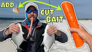 New CUT BAIT SCORES BIG Surf Fishing!