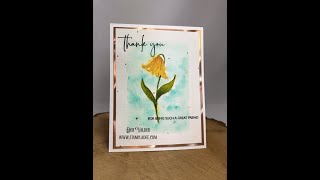 No Line Coloring Series #3 Watercolor & Ink with Deb Valder